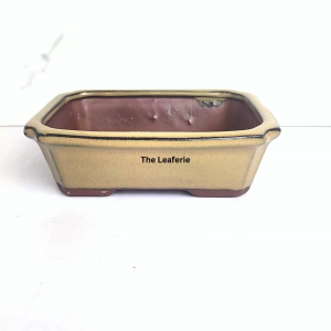 The Leaferie Petit Bonsai Pot (Series 4) rectangular mini plant pots. flowerpot . rectangle flowerpots . planter . planters . succulent