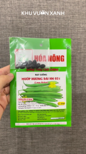 Hạt giống Mướp Hương dài siêu trái Gói 10 hạt Trồng quanh năm