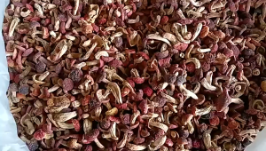 Chinese Herbs Herbal Medicine 红菇 Dried Mushroom Red Mushroom Beauty Wind 中药材 干货 菇中之王 美容养颜 祛风散寒 YC11