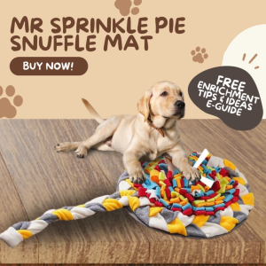 ✅[SG] MR SPRINKLE PIE SNUFFLE MAT ★ Nosework Training ★ FREE Enrichment Tips & Ideas e-Guide Worth $7 ★ Pet Enrichment ★ SG Stock ★ Kopi Lobang