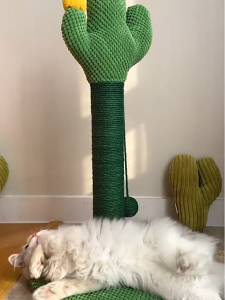 คอนโดแมว กรอบปีนแมว เสาลับเล็บแมวได้ แคปซูลอวกาศ มัลติฟังก์ชั่น ของเล่นแมว ทนต่อการขีดข่วน