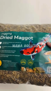DRIED MAGGOT KERING BSF 1KG GRADE A PAKAN IKAN KOI CHANNA LOUHAN ARWANA REPTIL HAMSTER AYAM BURUNG