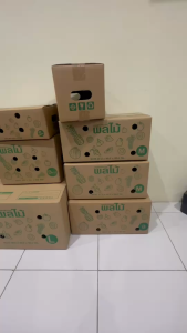 10 ใบ กล่องผลไม้ C+9 หนา 5 ชั้น