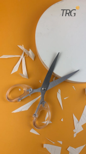 TRG Gunting Transparan Stainless Scissors Pemotong Kertas Kuat Tajam SC-001 ~ SC-004 TRG