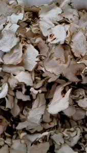 Chinese Herbs Herbal Medicine Dried Goods Buddhas Hand Golden Buddhas Hand 中药材 干货 佛手片 金佛手 YC62