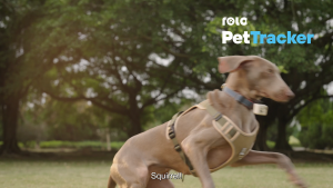 Enabot Rola GPS Pet Tracker