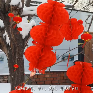 HOME BEST (3 Sizes) 1pc Chinese New Year CNY Decoration Red Paper Lanterns Festival Tanglung Merah 新款灯笼挂饰结婚小灯笼开业装饰新年小红灯笼年货纸灯笼