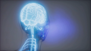 Focus Master Memory Support Nootropic Cognitive Stamina