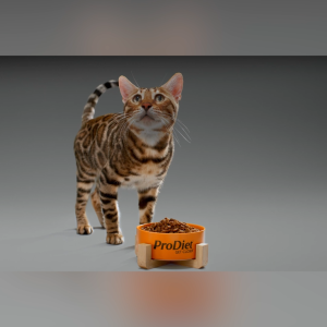 Prodiet 8kg Saver Pack Adult/Kitten Dry Cat Food (5 Flavours)
