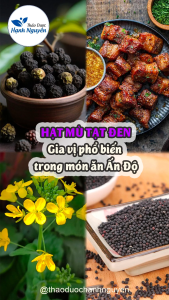 Hạt mù tạt đen Ấn Độ nguyên chất 1kg - Thảo Dược Hạnh Nguyên