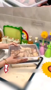 Kontainer Multifungsi untuk Sayur Buah & Tempat Makanan Berkualitas Tinggi