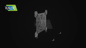 Kaloc KLC-H2 Laptop Stand Ergonomic Laptop Tray Holder 13-17Inch (Load:10KG) [MODEL:TVB-KLC-H2]