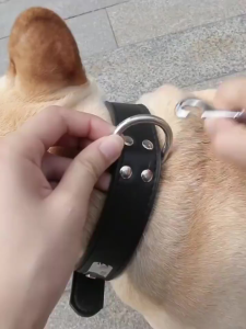 Retractable leash dog leash and collar dog leash with harness leash for puppy leash for dog