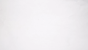 ERONS - KYLA LOW BLACK WHITE | SEPATU BUATAN LOKAL | STREETWEAR RETRO GRADE