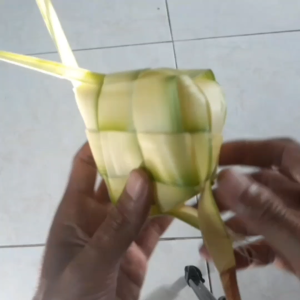 10 JANUR FRESH KETUPAT SAYUR JANUR HIASAN PERNIKAHAN