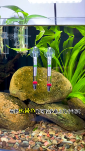 ปรอทวัดอุณหภูมิในตู้ปลา เทอร์โมมิเตอร์ เครื่องวัดอุณหภูมิน้ำ แบบติดกระจก อุปกรณ์ตู้ปลา เพื่อติดตามอุณหภูมิน้ำ