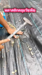 พลาสติกคลุมวัชพืช ขนาดหน้ากว้าง 1 เมตร