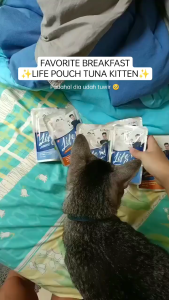 1 Box Life Cat Sachet: Makanan Kucing Basah Untuk Kesehatan