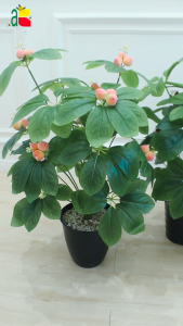 TANAMAN LATEX WALISONGO & TANAMAN HIAS ARTIFICIAL UNTUK DEKORASI