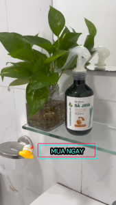 Tinh Dầu Sả Chanh Vỏ Quế Xịt Khử Mùi Toilet Nhà Tắm Bình Xịt Thơm Khử Mùi Phòng Nhà Vệ Sinh Toilet 500ml VUATINHDAU