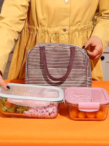 2/3 Grids Thickened Leak Proof Microwave Safe Food Crisper High Borosilicate Glass Lunch Bento Box