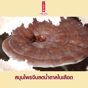 (ของแท้ 100%) ผลิตภัณฑ์อาหารเสริมสมุนไพรจีน หลินตัง Lhin Tung บรรจุ 30 แคปซูล จำนวน 1 กระปุก