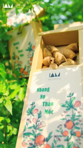 Nhang nụ thảo mộc tự nhiên không hóa chất từ quế bồ kết vỏ bưởi hương nhu cây ngũ trảo. Hộp 40 nụ