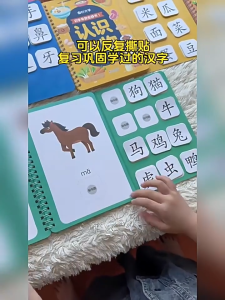 Busy Book Stick Book Child Learning Word Montessori My First Quiet Book Early Learning Education Toys Children Matching