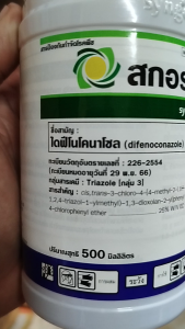 สกอร์ 500ซีซี (ไดฟีโนโคลนาโซล) ป้องกันเชื้อรากาบใบไหม้ แอนแทรคโนส ใบจุดสีม่วง - ราคา 599฿