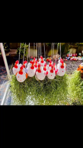 ตุ๊กตาเซรามิค ตุ๊กตาเคราฤาษี นก กระจิบ (จำนวน 1 ชิ้น) คละสี พร้อมเชือก ไม่มีต้นไม้