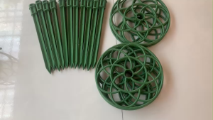 Khung giá đỡ hoa mười giờ