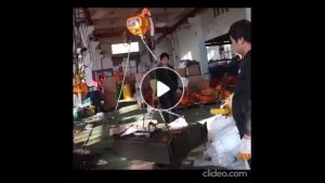 1~3 Ton Electric Chain Hoist Lifting Crane Lifting Hoist Single Double Chain Hoist Crane 4 Meter Pesawat Angkat Kren