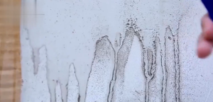 500ml Spray Pembersih Jamur Pembersih Jamur Dinding Tembok Pembersih Dinding Dapur Kamar Mandi Lemari Kayu