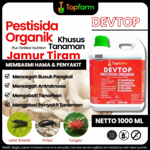 Obat Pembasmi Hama Jamur Tiram / Obat Jamur Dan Hama Tanaman Jagung / Obat Hama Jamur Tiram / Obat Hama Gurem Jamur Tiram / Obat Hama Untuk Jamur Tiramobat Hama Pada Jamur Tiram