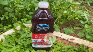 HSD T4.26 -Nước Ép Nam Việt Quất Ocean Spray Cranberry Juice Cocktail 1.89L 64Fl Oz