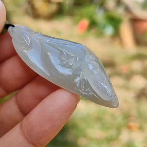 Icy Translucent with Yellow Patches Natural Type A Jadeite Jade crafted with leaf and Cicada as a Pendant certificate weigh 13.68 grams measurement 52 * 21.7 * 11.8 mm (pendant224)
