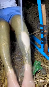 3 PCS FAIRY HERBAL SCRUB SOAP