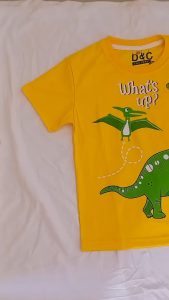 Setelan kaos anak laki-laki Dino Bxr usia 2-10 tahun / pakaian anak cowok