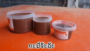 กะปิน้ําพริก เคยใต้ เมืองกระบี่ กุ้งเคยแท้ 100% เกรด A