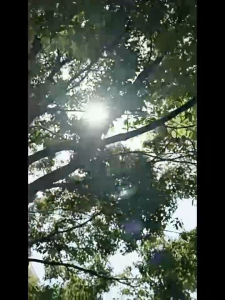 Gaya Baru Kotak Penyimpanan Kulkas & Rak Dapur