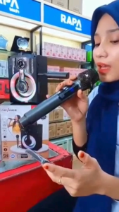 Mic Wireless Profesional Bisa DiCas USB ADVANCE 207 (Isi 2) Double Microphone Wireless Berkualitas - Mic Double Wireless / Mikrofon Genggam / Mic Karaoke / 2 Mic Tanpa Kabel | TC