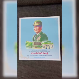 หนังสือชุด สมเด็จพระบรมราชชนนีพันปีหลวง บ้านเล็กในป่าใหญ่ โดย ฝ่ายวิชาการสถาพรบุ๊คส์ สนพ.สถาพรบุ๊คส์