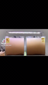 Vi sinh quang hợp PSB rẻ - Vi sinh tươi cho cây cá cảnh Trong nước cá khỏe dễ sinh sản