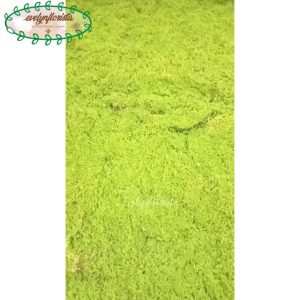 Karpet Lumut Sintetis Imitasi Lumut Dekorasi Rumah Aesthetic