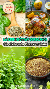 Lá kinh giới tây khô 100g (Lá oregano nguyên liệu món Âu) - Lãn Ông