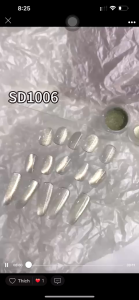 Bột tráng gương rêu bạc mắt mèo - Trang trí móng tay nail mã SD1006
