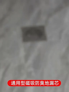 【COD】Universal Floor Drain Core Deodorant and Insect-Proof Anti Odor Hair Catcher Backflow Preventer Bathroom Tools