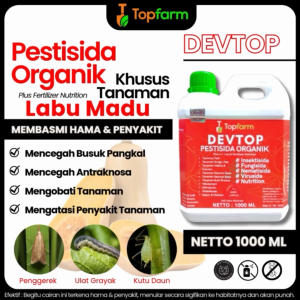 Obat Hama Labu Madu / Obat Hama Tanaman Labu / Obat Hama Labu Kuning / Obat Untuk Hama Labu Madu / Obat Hama Batang Labu Kuning / Obat Hama Daun Labu / Obat Jamur Akar Batang Buah Labu