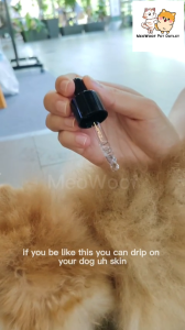 MEOWOOF 30ML Natural Pet Skin Treatment Oil Cat Fungus Treatment Dog Skin Treatment Pet Skin Disease Cat Skin Treatment