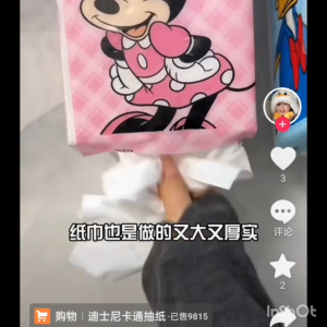 迪士尼悬挂式抽纸4层/200抽 DISNEY TISSUE 4PLY/200PCS  一箱已参好不同的款式